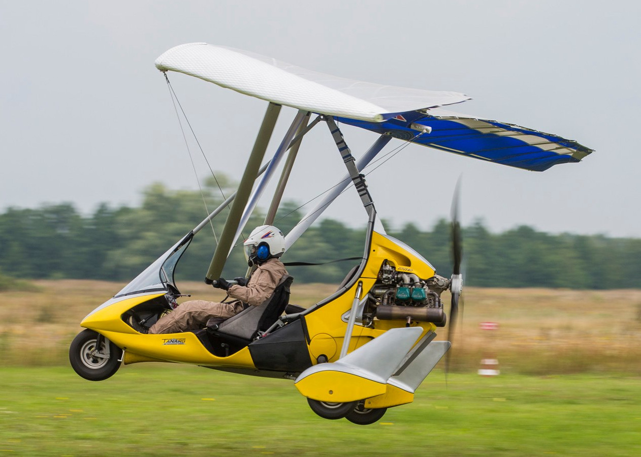 SWEN Products Ultralight Trike Aircraft Airplane Garden Stake Weathervane ~New~ 